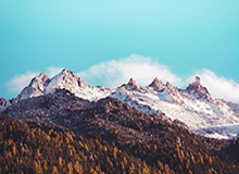 蓝鲸体育-当选周最佳球员！从替补到全明星！杰伦杜伦：底特律的沉默巨人